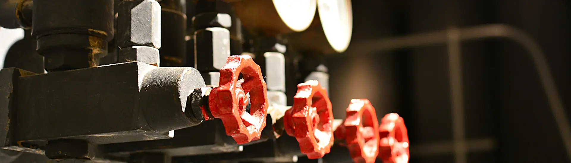 Assess Your Gas & Flame Detection Needs